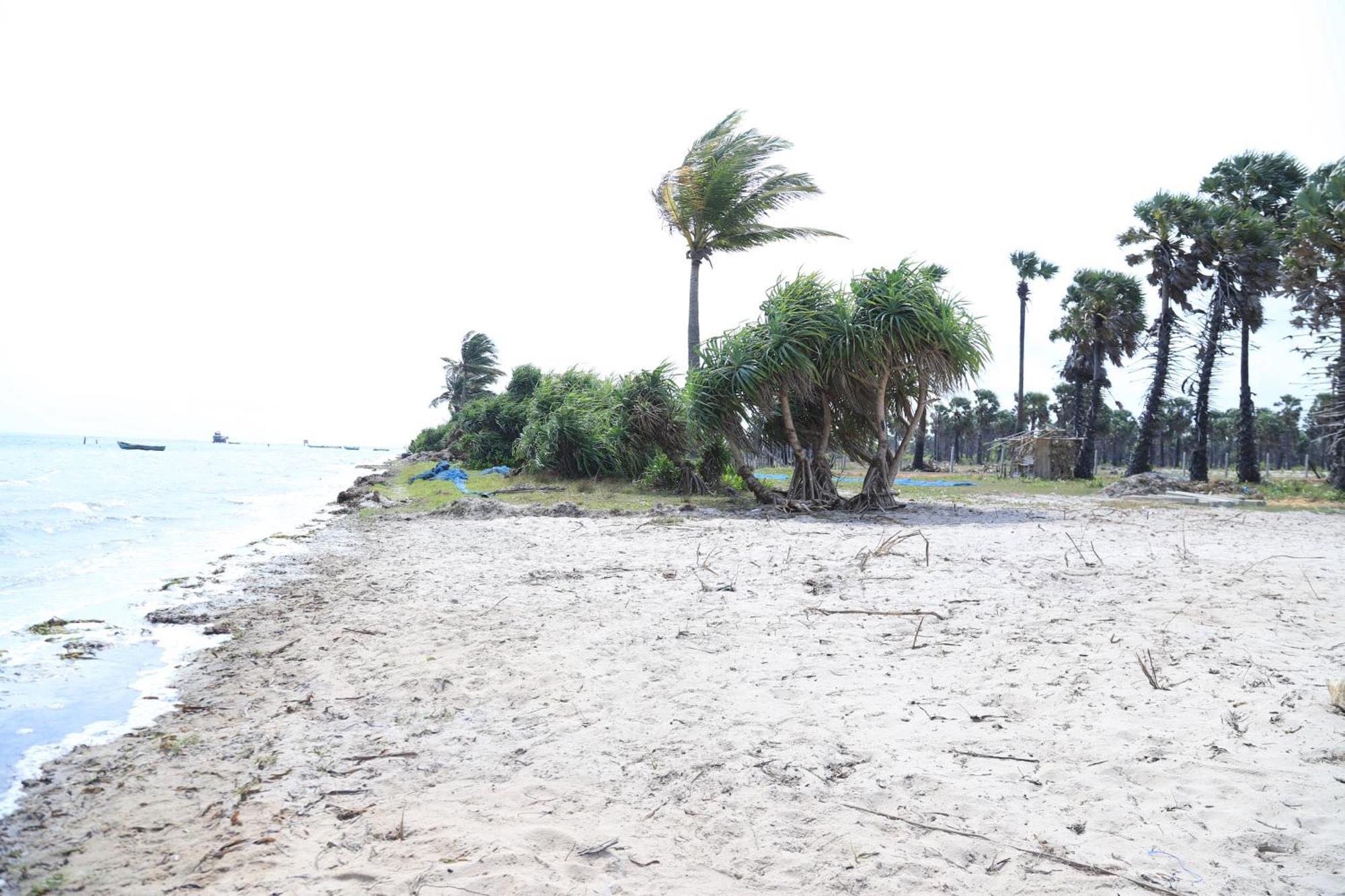 Palm Beach Resort Ceylon Jaffna Kültér fotó